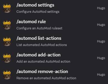 Hugo automod command overview