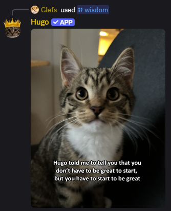 Hugo wisdom command